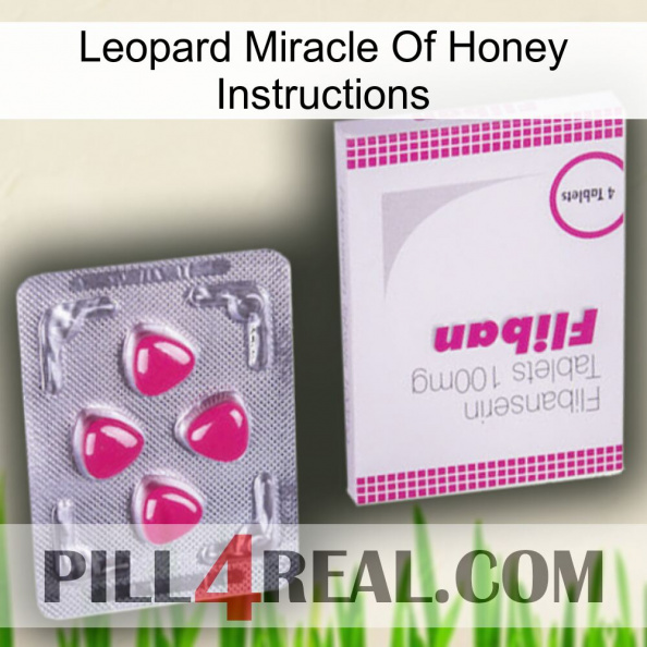 Leopard Miracle Of Honey Instructions 32.jpg